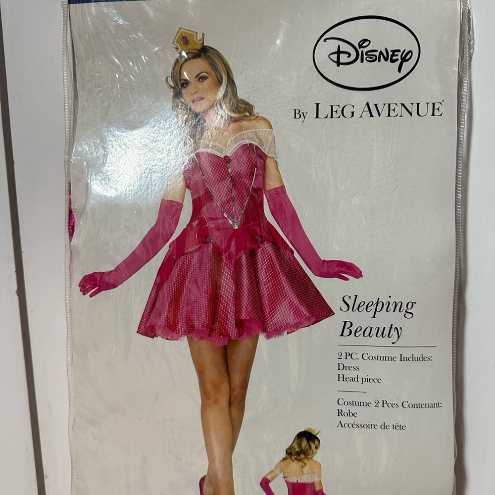 Women’s Sleeping Beauty Costume
